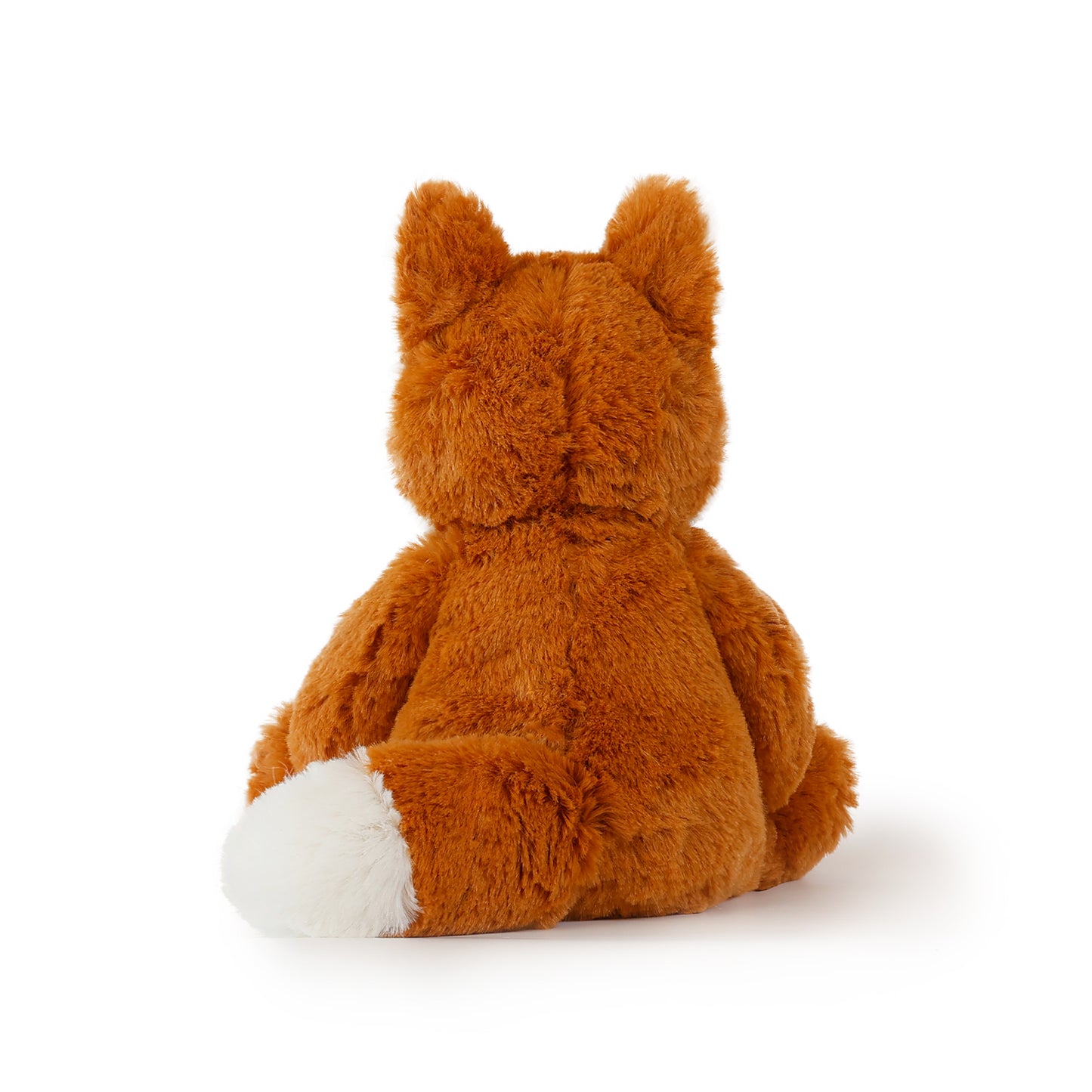 Asher the Fox