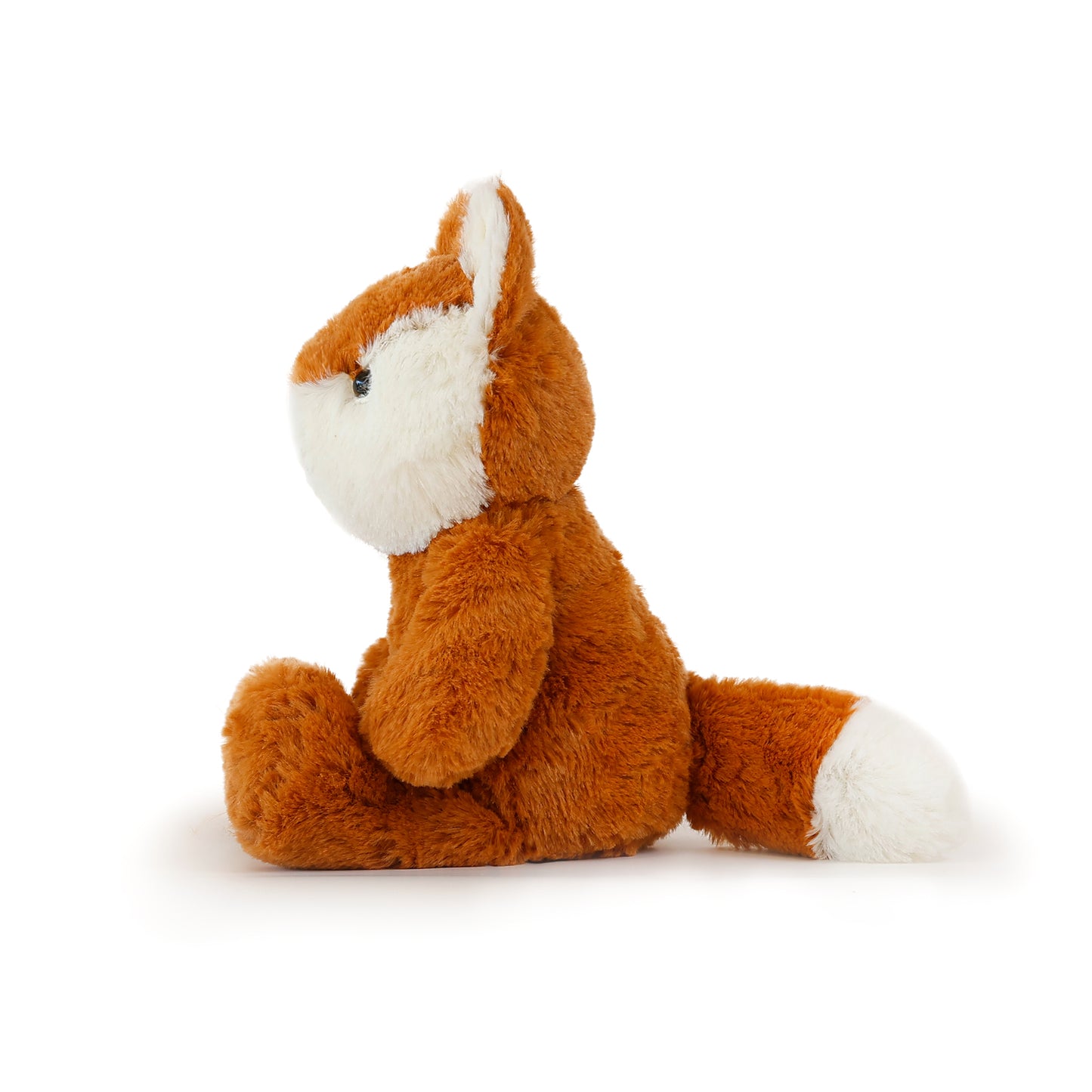 Asher the Fox